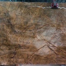 Бедасар Голден Браун