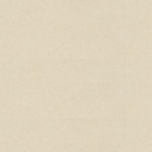 Caesarstone Desert Limestone 