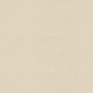 Caesarstone Desert Limestone 