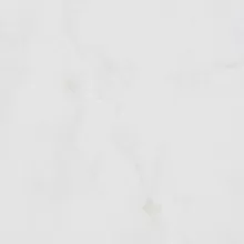 Staron Supreme VD111 Delphi