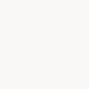 GetaCore GC 2011 Titan White