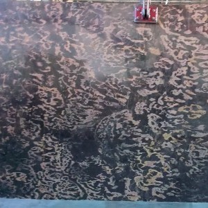 Пеле Ди Леопардо