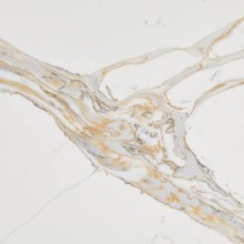 7030 Калакатта Шенонсо