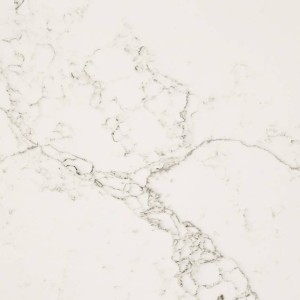 7100 Статуарио Лилль