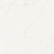 7560 Калакатта Альби