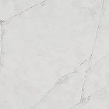 7980 Ницца Бланк