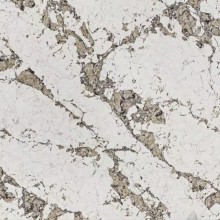 9060 Patagonia Martinica