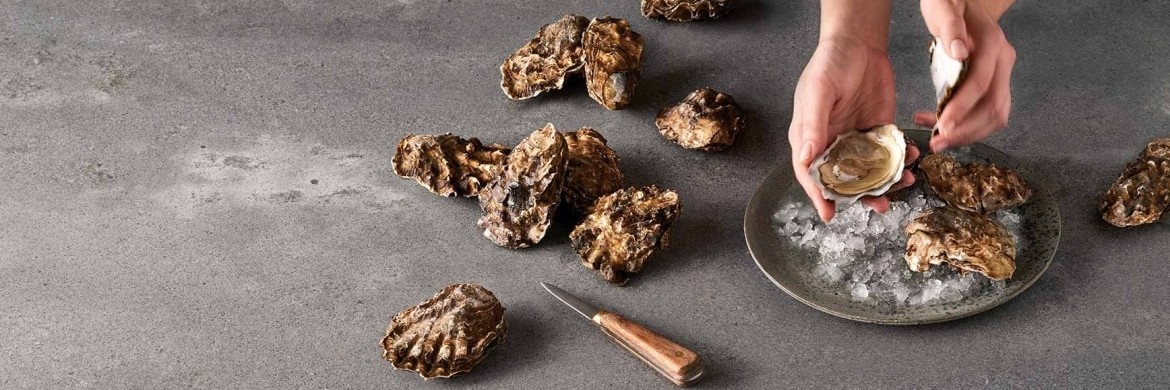 Primax столешница