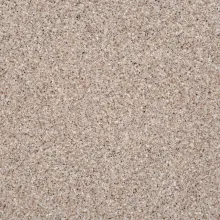Grandex D-303 Raisined Chocolate