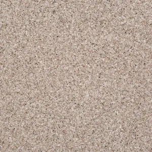 Grandex D-303 Raisined Chocolate