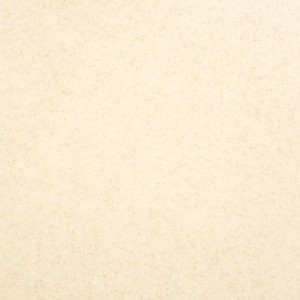 Grandex D-304 Ice-Cream