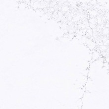 R777 Москва Белокаменная