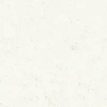 Carrara 101