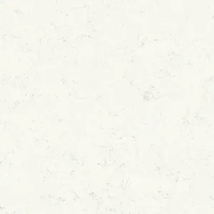 Carrara 101
