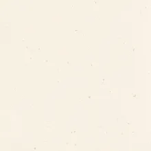Corian Rice Paper