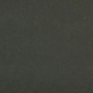 Adara 6008