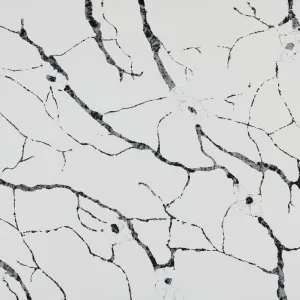 Calacatta Viana 6033
