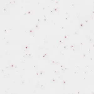 Noblle Quartz Q117 Jade White