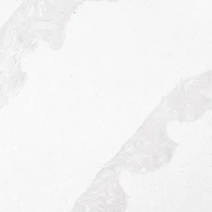 Noblle Quartz Q744 Calacatta Bianco