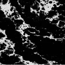 Noblle Quartz Q921 Arabescato Black