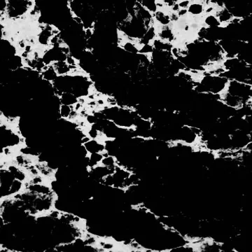 Noblle Quartz Q921 Arabescato Black