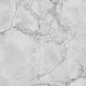 Primax 748 Calacatta Grigio