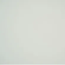 Primax 100 Ivory White