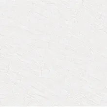 Primax 313 White Arctic