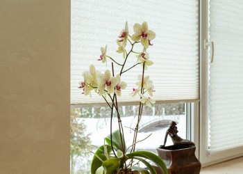 Подоконники из акрилового камня