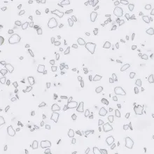 Staron QD212 Mosaic Dalmatian