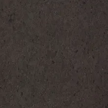 Samsung Radianz Charcoal
