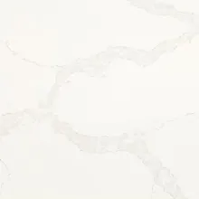 Samsung Radianz Willow