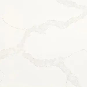 Samsung Radianz Willow