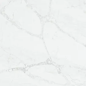 Vicostone Grey Monet