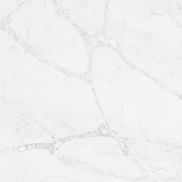 Vicostone Grey Monet